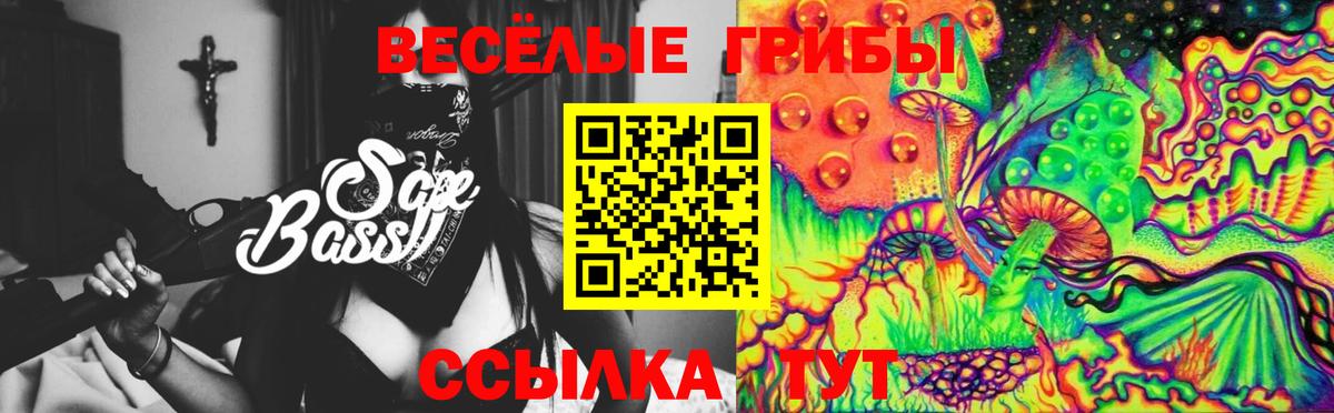 Псилоцибиновые грибы MAGIC MUSHROOMS Черняховск